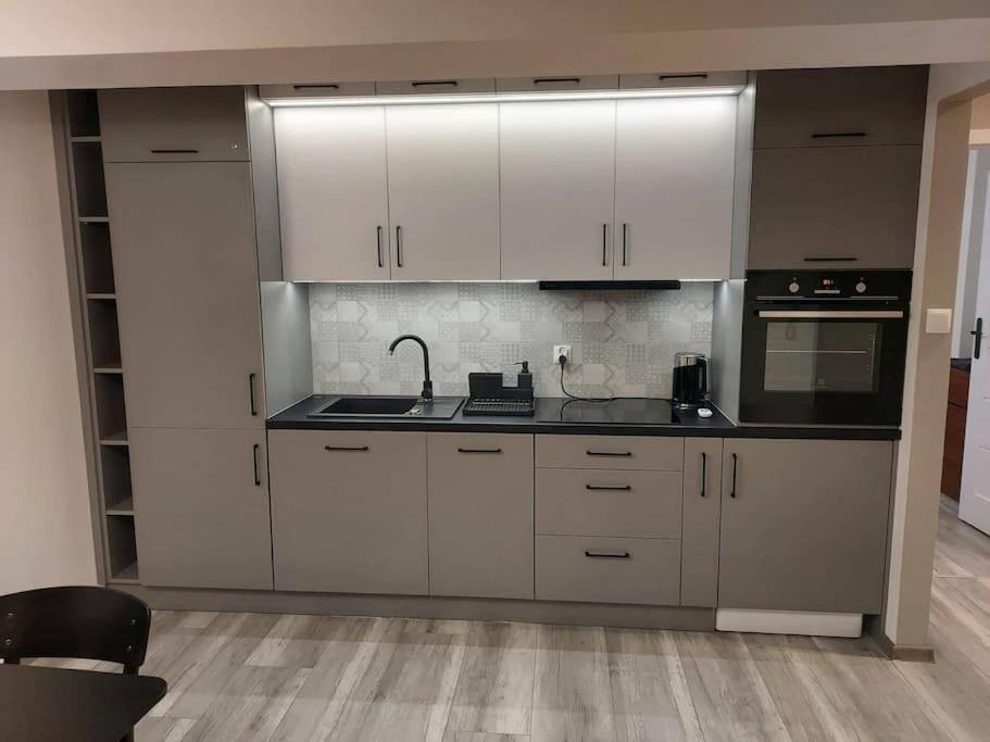 Uroczy Apartament W Scislym Centrum Gizycka Гіжицько Екстер'єр фото
